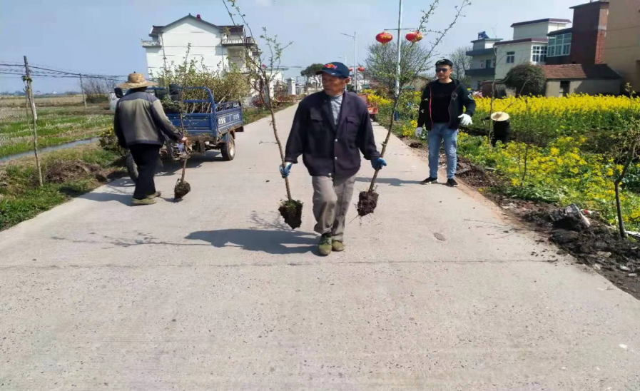 图片8.png