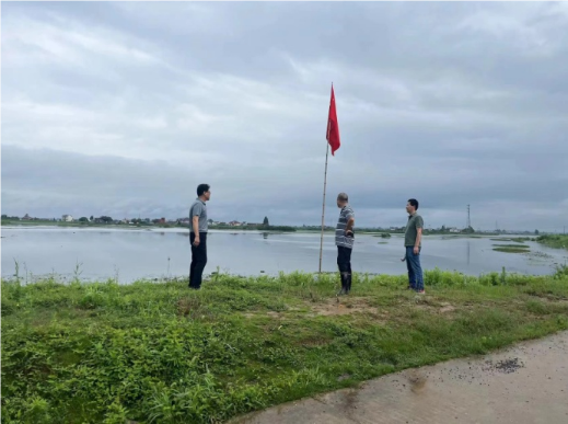 QQ_1722582545712.png