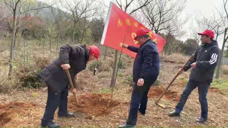 图片6.png