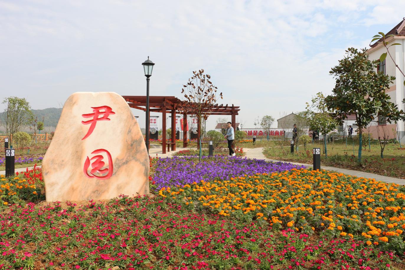 图片5.jpg